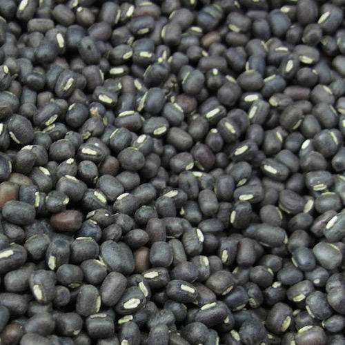 product-image.jpg